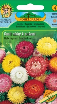 Smil nízký mix (semena)