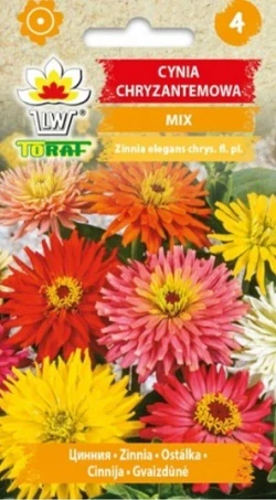 Ostálka chryzantémová mix (semena)