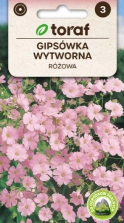 Šáter elegantní růžový (semena)