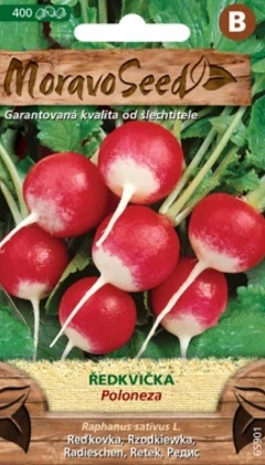 Ředkvička kulatá červenobílá, Poloneza (semena)