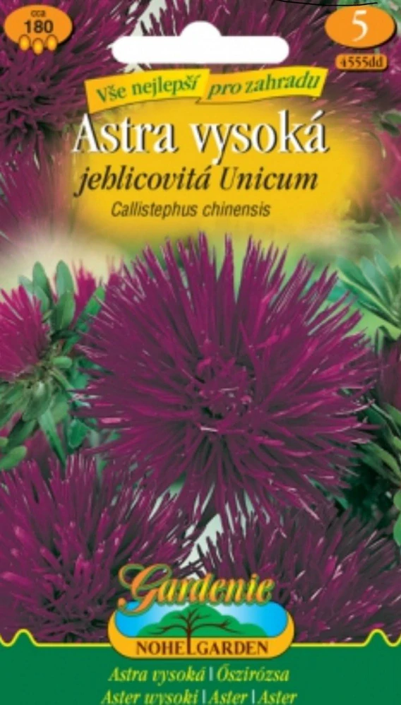 Astra vysoká jehlicovitá fialová (semena)
