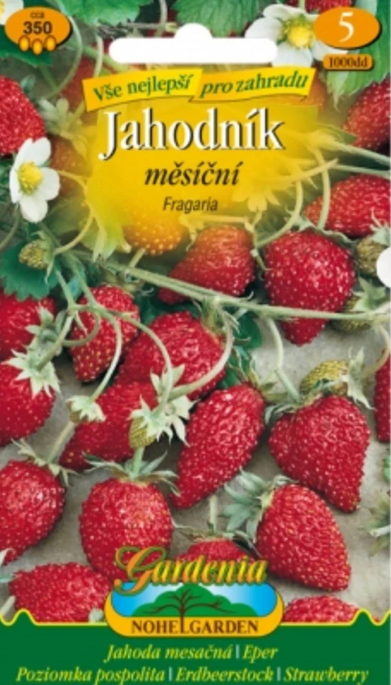 Jahodník měsíční Fragaria (semena)