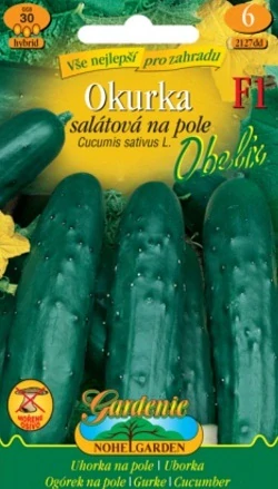 Okurka nakládačaka Obelix (semena)