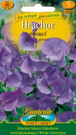 Hrachor vonný pnoucí modrý (semena)