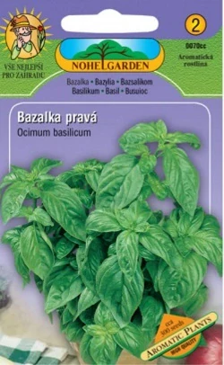 Bazalka pravá zelená (semena)