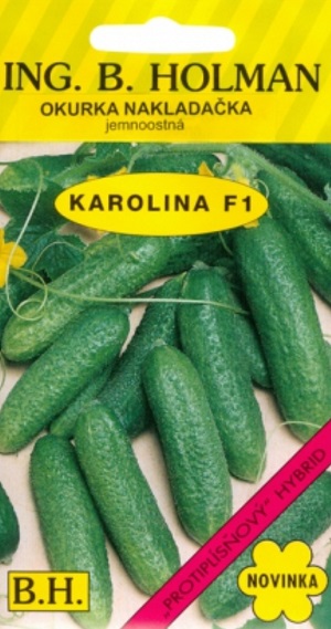 Okurka nakládačka jemnoostná, Karolina F1 (semena)