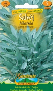 Šalvěj lékařská (semena)