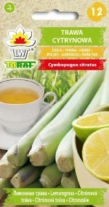Citronová tráva (semena)