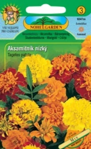 Aksamitník rozkladitý nízký plnokvětý směs (semena)