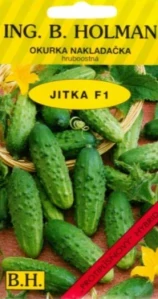 Okurka nakládačka hruboostná Jitka F1 - hybrid (semena)
