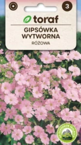 Šáter elegantní růžový (semena)