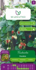 Jahodník převislý Pendula (semena)