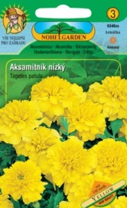 Aksamitník rozkladitý plnokvětý žlutý (semena)