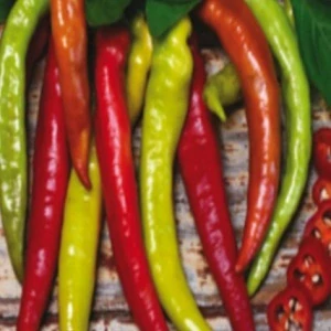 Paprika sladká, beraní roh (semena)