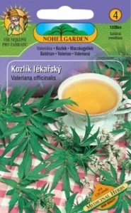 Kozlík lékařský (semena)