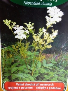 Tužebník jilmový (semena)