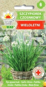 Pažitka čínská česneková (semena)