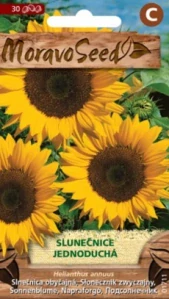 Slunečnice jednoduchá (semena)
