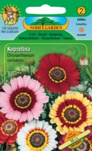 Kopretina kýlnatá, směs (semena)