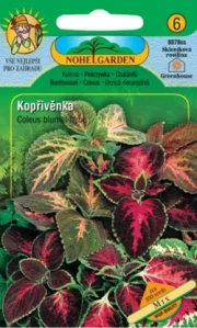 Kopřivěnka zkřížená, směs (semena)