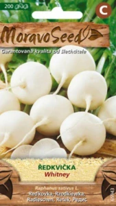Ředkvička kulatá bílá Whitney (semena)