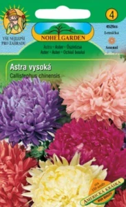 Astra vysoká Americká kráska (semena)