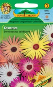 Kosmatec sedmikráskovitý mix (semena)
