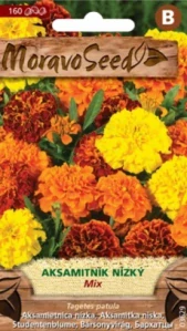 Aksamitník rozkladitý plnokvětý směs (semena)