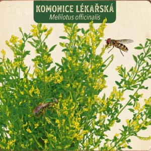 Komonice lékařská (semena)