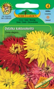 Ostálka lepá kaktusokvětá mix (semena)