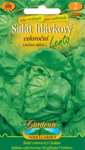 Salát hlávkový Lento (semena)
