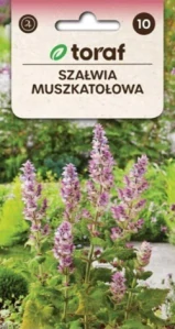 Šalvěj muškátová (semena)