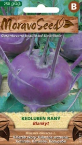 Kedluben raný modrý Blankyt (semena)