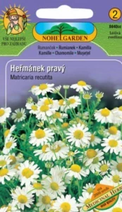 Heřmánek pravý (semena)