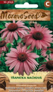 Třapatka nachová (semena)