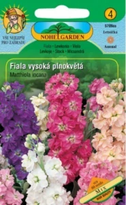 Fiala vysoká plnokvětá (semena)