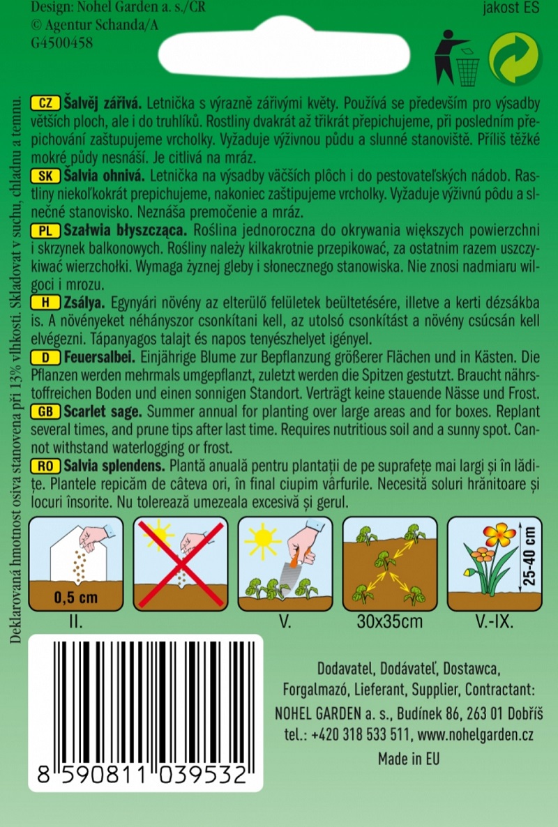 Šalvěj zářivá, červená (semena)