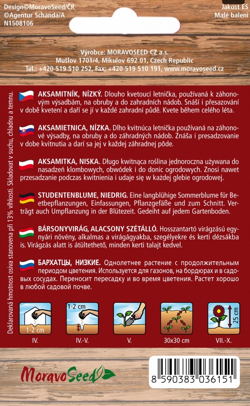 Aksamitník rozkladitý plnokvětý, oranžovo-hnědý (semena)