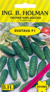 Okurka nakládačka hruboostná Svatava F1 (semena)