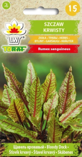 Šťovík krvavý (semena)
