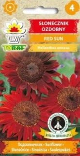 Slunečnice red sun (semena)