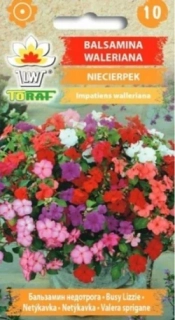 Netýkavka (semena)