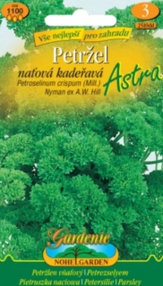 Petržel naťová kadeřavá Astra (semena)