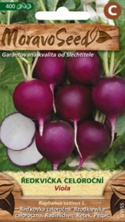 Ředkvička fialová Viola (semena)