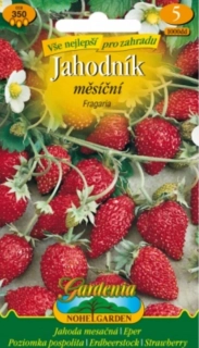Jahodník měsíční Fragaria (semena)