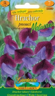 Hrachor vonný pnoucí fialovo-modrý, Mutacana (semena)