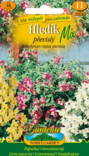 Hledík převislý, směs (semena)