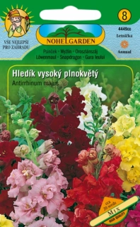 Hledík vysoký plnokvětý mix (semena)