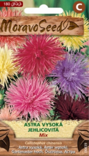 Astra vysoká jehlicovitá, mix (semena)