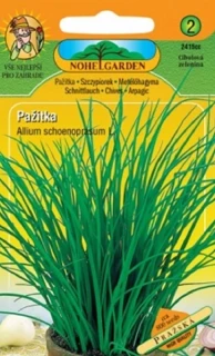 Pažitka pražská – semena 800 ks